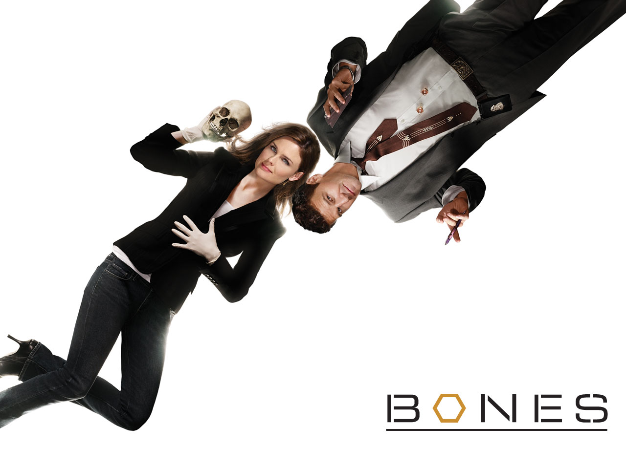Bones starring David Boreanaz & Emily Deschanel